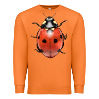 Carrot lady bug Premium Sweatshirt - LillyAllenDesigns