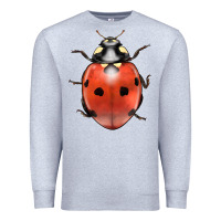 Heather Grey lady bug Premium Sweatshirt - LillyAllenDesigns