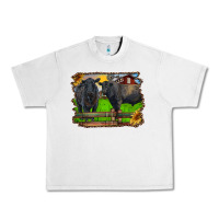 Lunar Rock black angus cattle and bull in barnyard Urban Heavy Tee - RanaPortraitStore
