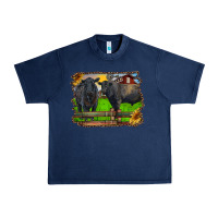 Navy black angus cattle and bull in barnyard Urban Heavy Tee - RanaPortraitStore