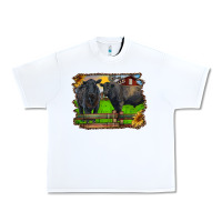 White black angus cattle and bull in barnyard Urban Heavy Tee - RanaPortraitStore