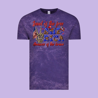 Vintage Tee land of the free america because of the brave