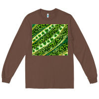 Chestnut St. Patrick's Day leopard tumbler Long Sleeve Tee - Neo Western