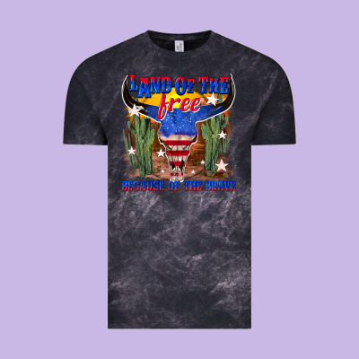 Vintage Tee land of the free because of the brave