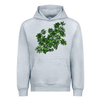 Botanical Schefflera Illustrations Urban Hoodie | Teevron