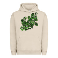 Pigment French Oak Botanical Schefflera Illustrations Urban Hoodie - LillyAllenDesigns