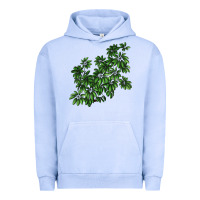 Pigment Grape Ice Botanical Schefflera Illustrations Urban Hoodie - LillyAllenDesigns