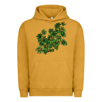 Pigment Peanut Butter Botanical Schefflera Illustrations Urban Hoodie - LillyAllenDesigns
