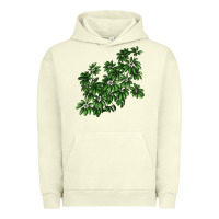 Pigment Pistachio Botanical Schefflera Illustrations Urban Hoodie - LillyAllenDesigns