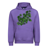 Tulip Botanical Schefflera Illustrations Urban Hoodie - LillyAllenDesigns