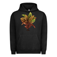 Pigment Black Croton Urban Hoodie - LillyAllenDesigns