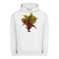 Pigment Lunar Rock Croton Urban Hoodie - LillyAllenDesigns
