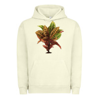 Pigment Pistachio Croton Urban Hoodie - LillyAllenDesigns