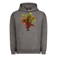 Pigment Tornado Croton Urban Hoodie - LillyAllenDesigns