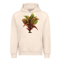 Sandshell Croton Urban Hoodie - LillyAllenDesigns