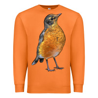 Carrot American Robin Bird Premium Sweatshirt - LillyAllenDesigns