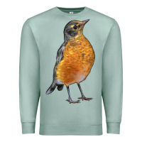 Seafoam American Robin Bird Premium Sweatshirt - LillyAllenDesigns