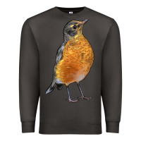 Smoke American Robin Bird Premium Sweatshirt - LillyAllenDesigns
