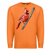 Carrot Northern Cardinal Bird Premium Sweatshirt - LillyAllenDesigns
