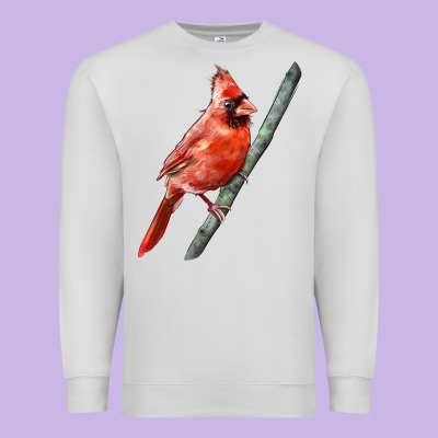 Northern Cardinal Bird Premium Sweatshirt Designed By Lillyallendesigns
