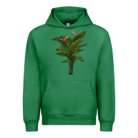 Emerald the bird of paradise Urban Hoodie - LillyAllenDesigns