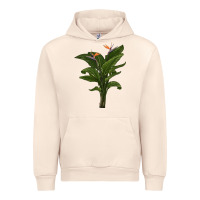 Sandshell the bird of paradise Urban Hoodie - LillyAllenDesigns