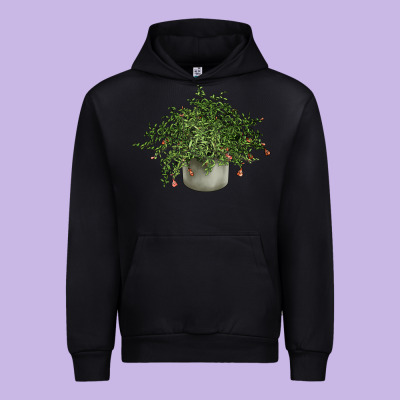 Dwarf Pomegranate Tree Illustrations Urban Hoodie Designed By Lillyallendesigns