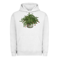 Pigment Lunar Rock Dwarf Pomegranate Tree Illustrations Urban Hoodie - LillyAllenDesigns