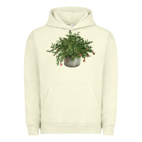 Pigment Pistachio Dwarf Pomegranate Tree Illustrations Urban Hoodie - LillyAllenDesigns