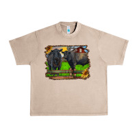 French Oak black angus cattle and bull in barnyard Urban Heavy Tee - RanaPortraitStore