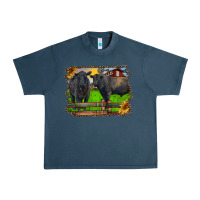 Midnight Navy black angus cattle and bull in barnyard Urban Heavy Tee - RanaPortraitStore