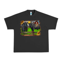 Black Angus Cattle And Bull In Barnyard Urban Heavy Tee | Teevron