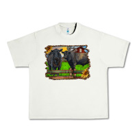 Pistachio black angus cattle and bull in barnyard Urban Heavy Tee - RanaPortraitStore