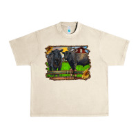 Sandshell black angus cattle and bull in barnyard Urban Heavy Tee - RanaPortraitStore