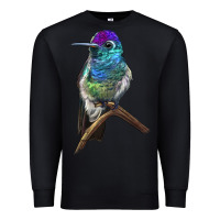 Black Rivoli`s Hummingbird Premium Sweatshirt - LillyAllenDesigns