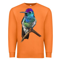 Carrot Rivoli`s Hummingbird Premium Sweatshirt - LillyAllenDesigns