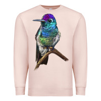 Pale Pink Rivoli`s Hummingbird Premium Sweatshirt - LillyAllenDesigns