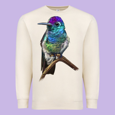 Rivoli`s Hummingbird Premium Sweatshirt Designed By Lillyallendesigns
