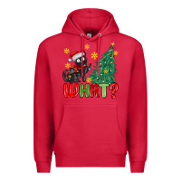 Cardinal christmas  cat  what Premium Hoodie - MaliasSmallBusiness