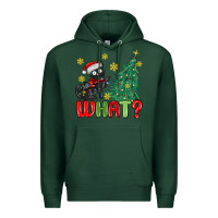 Sports Green christmas  cat  what Premium Hoodie - MaliasSmallBusiness