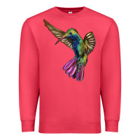 Cardinal Broad Billed Hummingbird Premium Sweatshirt - LillyAllenDesigns