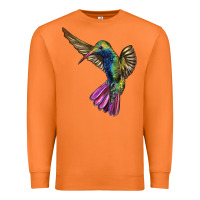 Carrot Broad Billed Hummingbird Premium Sweatshirt - LillyAllenDesigns