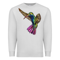 Dove Grey Broad Billed Hummingbird Premium Sweatshirt - LillyAllenDesigns