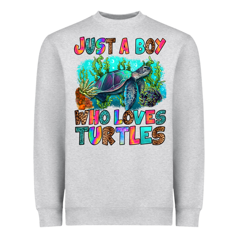 Just A Boy Who Loves Turtles Heavyweight Sweatshirt by RanaPortraitStore | Teevron