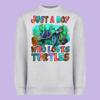 Heavyweight Sweatshirt just a boy who loves turtles