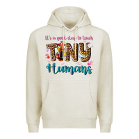 Oatmeal Heather its a good day to teach tiny humans Premium Hoodie - NancyCooperArtShop