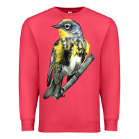 Cardinal yellow rumped warbler Premium Sweatshirt - LillyAllenDesigns
