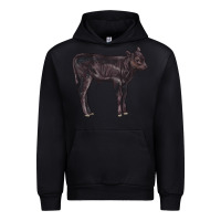 Black Black Angus Calf Illustrations Urban Hoodie - LillyAllenDesigns