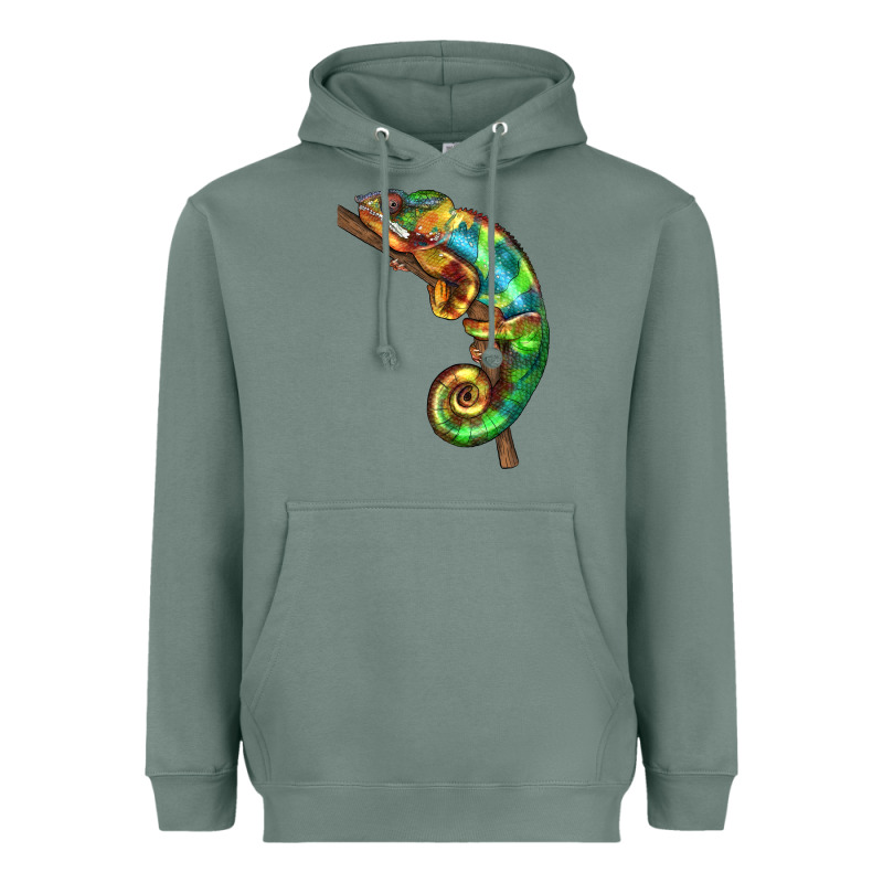 Chameleon Lizard Illustrations Heavyweight Hoodie by LillyAllenDesigns | Teevron