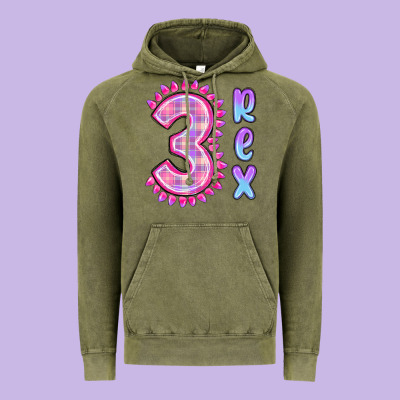 Vintage Hoodie 3 rex pink dinosaur
